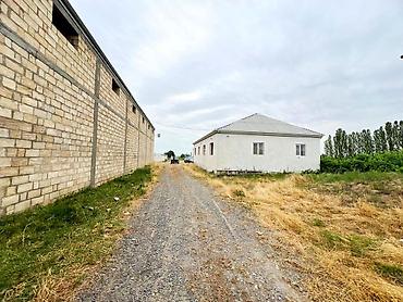 qaz balari: Ferma Șabranda yerlewır yola yaxın yerde Ferma 10 boksdan ibaretdir 7 — 5