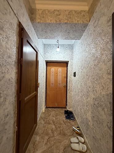berde kiraye ev: 3 otaqlı, Yeni tikili, 50 kv. m — 5