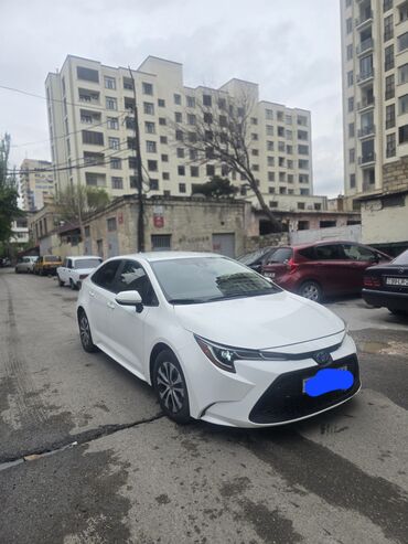centra masin: Toyota Corolla: 1.8 л | 2022 г. Седан