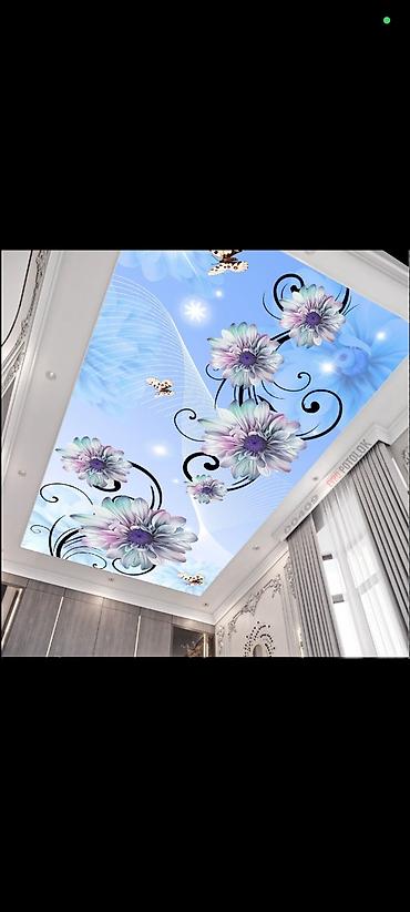 Натяжной потолок: Натяжной потолок Матовое, 3D потолки, Глянцевое Гарантия, Демонтаж, Монтаж — 22