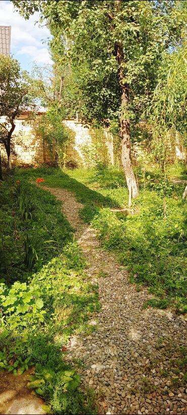 Günlük kirayə evlər: 90 kv. m, 3 otaqlı, İnternet, Telefon, Qaz — 4