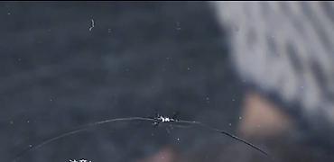 ремонт лазеров: Набор для самостоятельного ремонта трещин и сколов на автостекле (DIY — 10