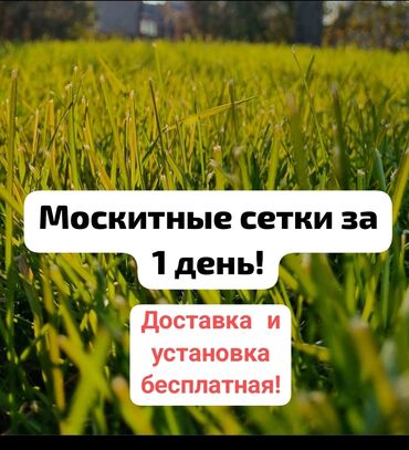 зонтики для пляжа купить: Чиркей тору, Ички, Буюртмага, Акысыз жеткирүү