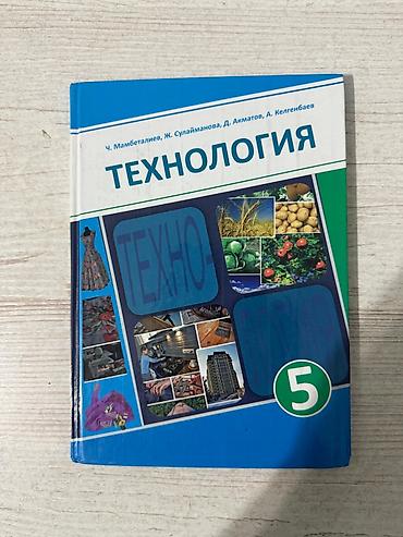 Другие учебники: Комплект учебников для 5 класса Состав: - Кыргыз тили – 2 учебника — 4