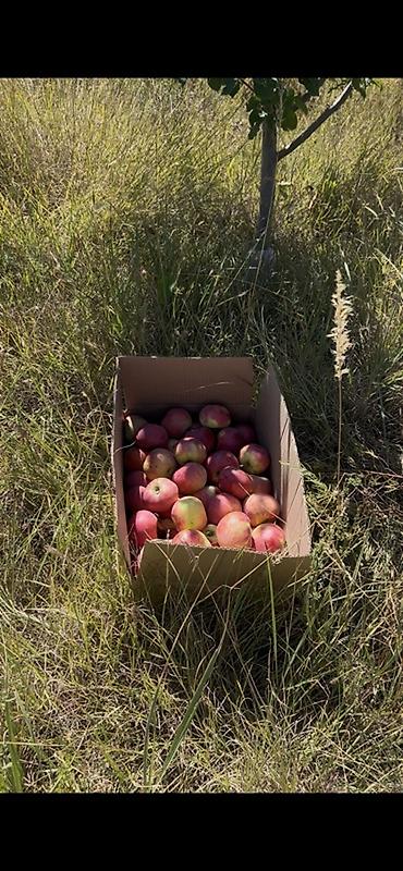 земли бишкек: 250 соток, Для бизнеса, Договор купли-продажи — 7