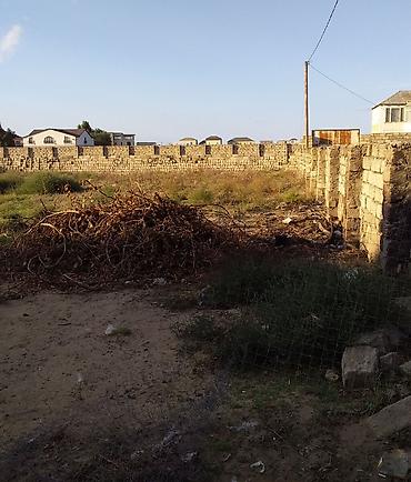 merdekanda torpag: 12 sot, Tikinti, Mülkiyyətçi, Kupça (Çıxarış) — 1