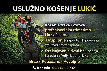 kuce na cuvanje beograd: Nudim uslužno košenje trave i održavanje dvorišta na teritoriji — 2
