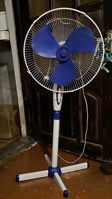 Ventilyator Yeni, Döşəməüstü, Pərli, Kredit yoxdur, Ünvandan götürmə lalafo.az -da Ventilyator Yeni, Döşəməüstü, Pərli, Kredit yoxdur, Ünvandan götürmə