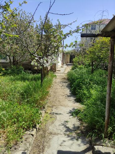 Uzunmüddətli kirayə evlər: 150 kv. m, 7 otaqlı, Qaz, İşıq, Su -da lalafo.az — 3 Uzunmüddətli kirayə evlər: 150 kv. m, 7 otaqlı, Qaz, İşıq, Su — 3