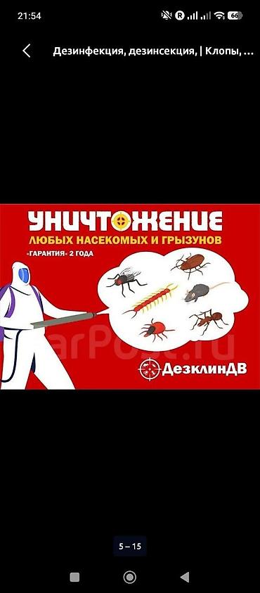 мадагаскарские тараканы: Дезинфекция, дезинсекция, | Клопы, | Квартиры — 3