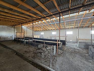 Продажа сельхоз предприятий: Продается сельскохозяйственный объект с готовыми капитальными — 1