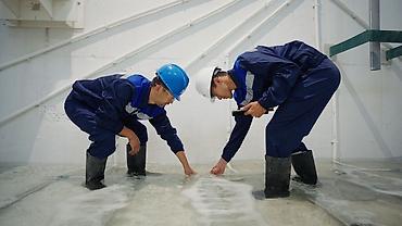 Другие услуги: Аудит очистных сооружений 🧾 Проводим проверку действующих очистных — 12