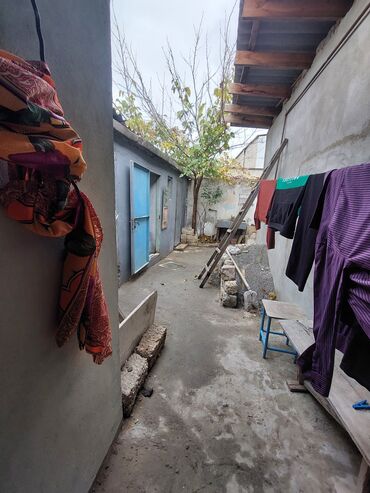 Uzunmüddətli kirayə evlər: 18 kv. m, 1 otaqlı, İnternet, Qaz, İşıq -da lalafo.az — 11 Uzunmüddətli kirayə evlər: 18 kv. m, 1 otaqlı, İnternet, Qaz, İşıq — 11