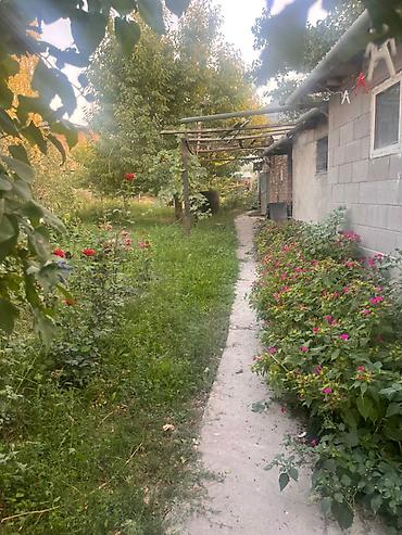 Продажа коттеджей и домов: 🏡 Продаётся дом в Арча-Бешике 📍 Район: Арча-Бешик 📐 Площадь дома: 100 — 6