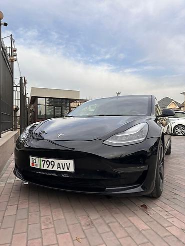 Tesla: Tesla Model 3: 2019 г., Электромобиль, Седан — 3
