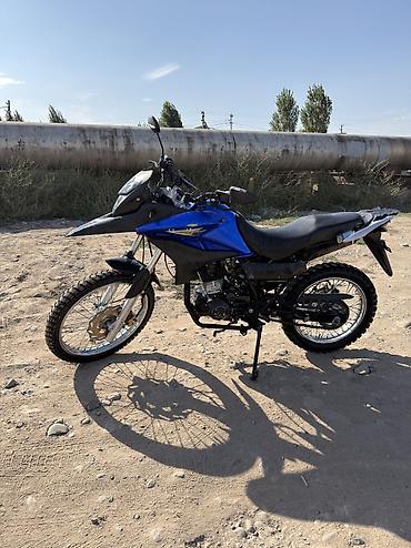 es 250: Эндуро 250 куб. см, Бензин, Взрослый, Б/у — 3