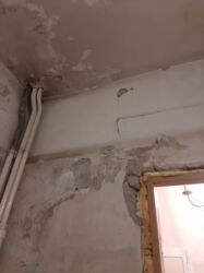 Покраска: Покраска стен, Покраска потолков, На масляной основе, На водной основе, Больше 6 лет опыта at lalafo.kg — 9 Покраска: Покраска стен, Покраска потолков, На масляной основе, На водной основе, Больше 6 лет опыта — 9