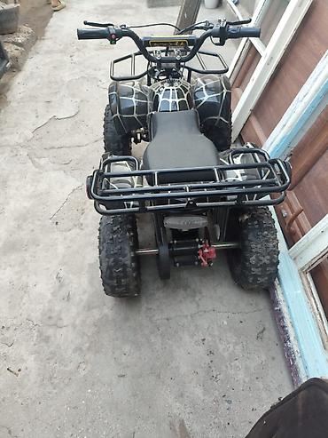 куплю квадроцикл бу: Uşaq/yeniyetmə üçün mini ATV (kvadrotsikl) - Gövdə rəngi — 1