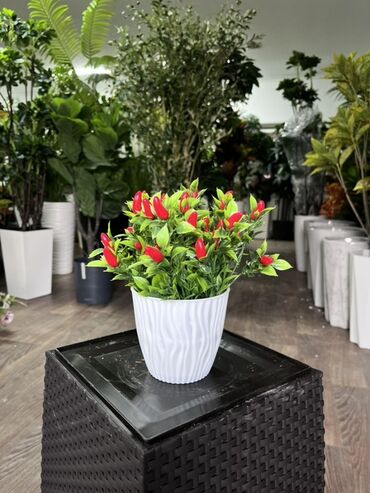 Декоративные цветы: Искусственные деревья — это идеальное решение для оформления интерьера at lalafo.kg — 5 Декоративные цветы: Искусственные деревья — это идеальное решение для оформления интерьера — 5