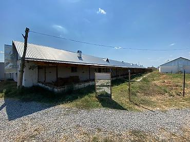 İcarəyə binalar: Ferma və təsərrüfat kompleksi 📍Ünvan : Ağsu rayonu • Sahə : 85 sot • — 23