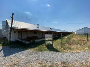 Anbar və emalatxanalar: 📍 Ünvan: Ağsu rayonu, Bozavad kəndi 📏 Sahə: 85 sot 📜 Sənəd: Kupça ✨ — 7