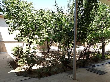 ev alqi satqisi ve kirayesi baki: Naxçıvan, 388 kv. m, 8 otaq, Hovuzsuz, Kombi, Qaz, İşıq — 3