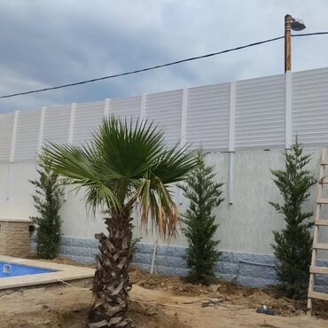 Naveslər, markizlər: Səs və məxfilik üçün lamel tipli dekorativ panellər və kölgəlik — 14