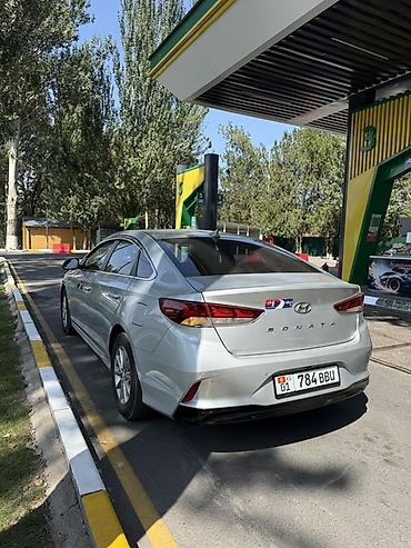 byd khan: Hyundai Sonata: 2019 г., 2 л, Автомат, Бензин, Седан — 5