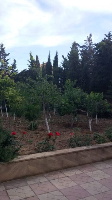 Bağ evlərinin kirayəsi: Bilgəh qəs., 200 kv. m, 4 otaqlı — 25