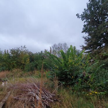 Продажа участков: 5 соток, Для строительства, Красная книга — 15