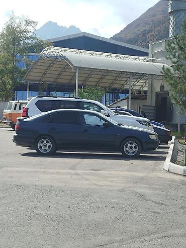 машина labo: Toyota Carina E: 1996 г., 1.6 л, Механика, Бензин, Лифтбек — 5