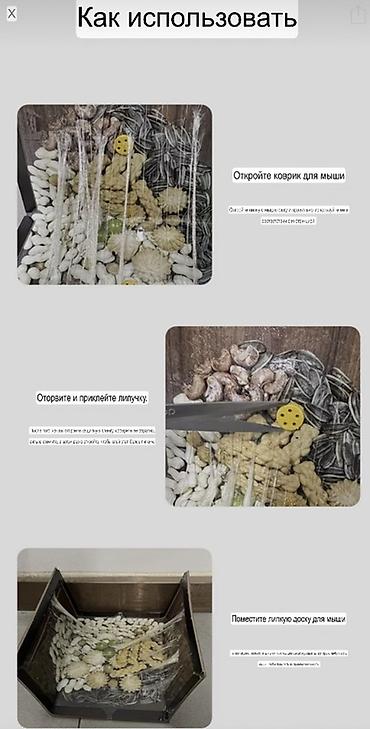 чип карта тахограф: ‼️ Клейкая мышеловка JMTINA — сверхпрочная липкая доска увеличенного — 4