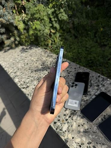 Apple iPhone: IPhone 13 Pro, цвет Sierra Blue - Память: 256 ГБ (указано на стикере) — 4