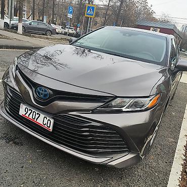 android avto: Toyota Camry: 2019 г., Автомат — 7