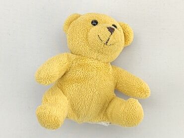 Mascots: Mascot Teddy bear, condition - Good