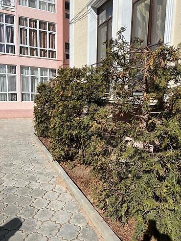 Продажа квартир: 1 комната, 26 м², Индивидуалка, Евроремонт — 2