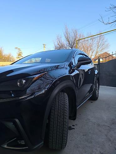 Lexus: Lexus NX: 2019 г., 2 л, Автомат, Бензин, Внедорожник — 2