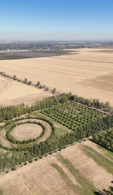 Продажа участков: 5 соток, Для строительства, Красная книга, Тех паспорт — 4