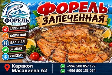🐟 ТЕПЕРЬ МЫ В КАРАКОЛЕ! 🎉 Друзья, у нас отличная новость! ❤️ Теперь at lalafo.kg 🐟 ТЕПЕРЬ МЫ В КАРАКОЛЕ! 🎉 Друзья, у нас отличная новость! ❤️ Теперь