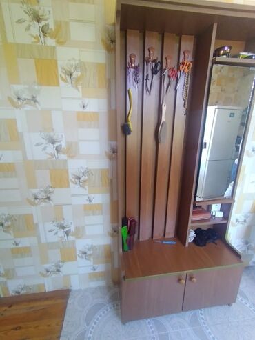 balkon dolab: Açılan, 2 qapılı Düz dolab, Dəhliz dolabı