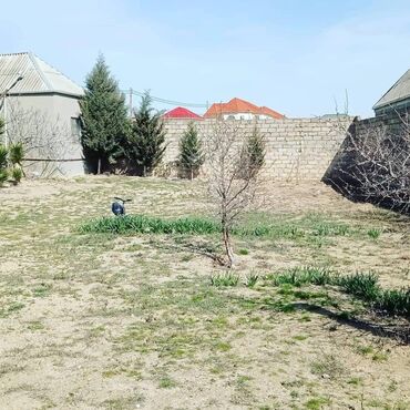 Bağ evlərinin satışı: Bakı, Buzovna, 200 kv. m, 3 otaqlı, Hovuzsuz, Su, Telefon, İşıq — 4