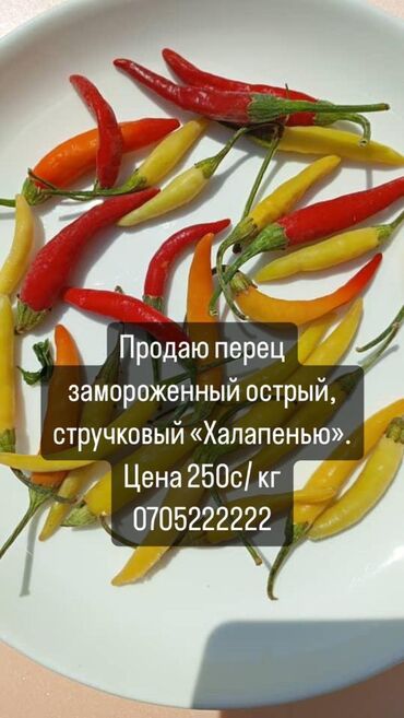 болгарский перец цена: Замороженные овощи
