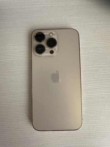 13 про цена бу: IPhone 13 Pro, Колдонулган, 256 ГБ, Matte Gold, Заряддоочу түзүлүш, Каптама, 79 %