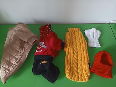 Продаю новую одежду для маленьких собак и кошек. цена 500 сом. шапочки