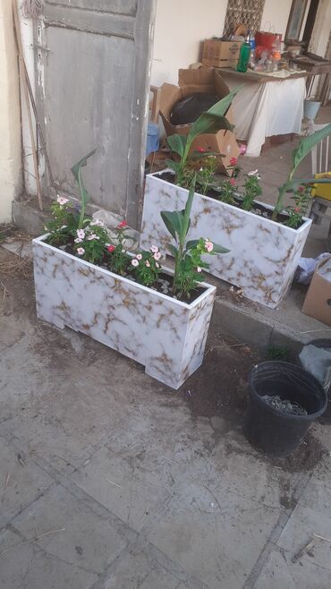 Bitkilər üçün dibçəklər: Dibceklər hər ölcüdə hər zövgə #dibceklər kafe ofis hryitcin zamanətlə — 3