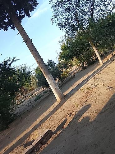 ucuz ipoteka evler: 3 otaqlı, 69 kv. m, Orta təmir — 5