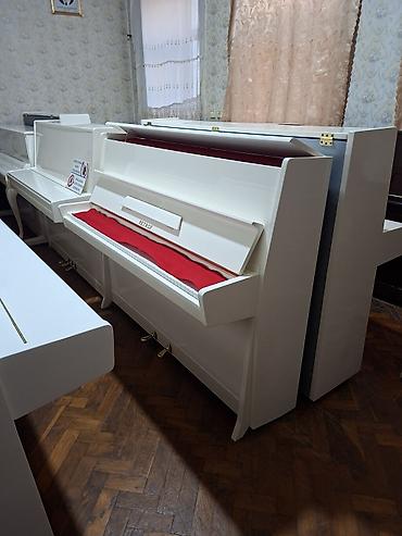 samsonite baku: Piano, Petrof, Akustik, Yeni, Pulsuz çatdırılma — 1