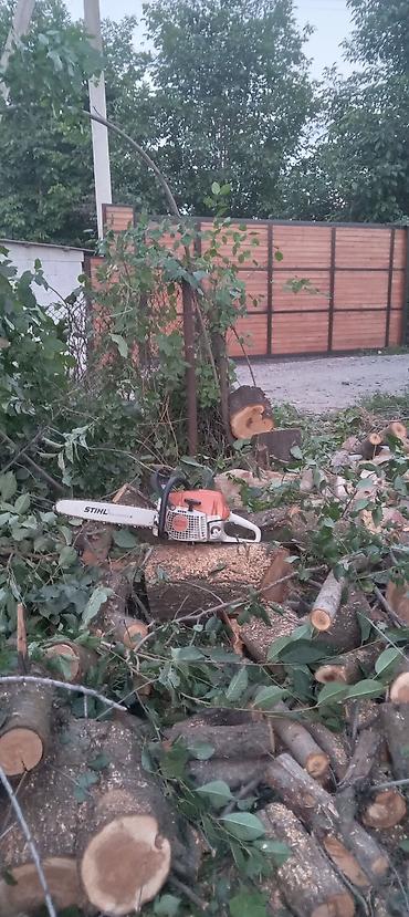 Спил деревьев, заготовка дров: Бак кыйабыз отун аралайбыз. ар кандай кыйынчылыктагы 24/7 чалып — 6