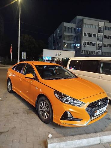 sonata: Hyundai Sonata: 2019 г., 2 л, Автомат, Газ, Седан — 2