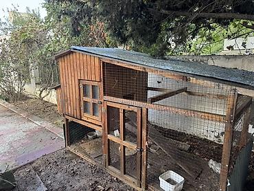 it satisi 2020: Göyerçin Damı Quş Damı Toyuqda Cücede Saxlamaq Olar - Material: möhkəm — 1